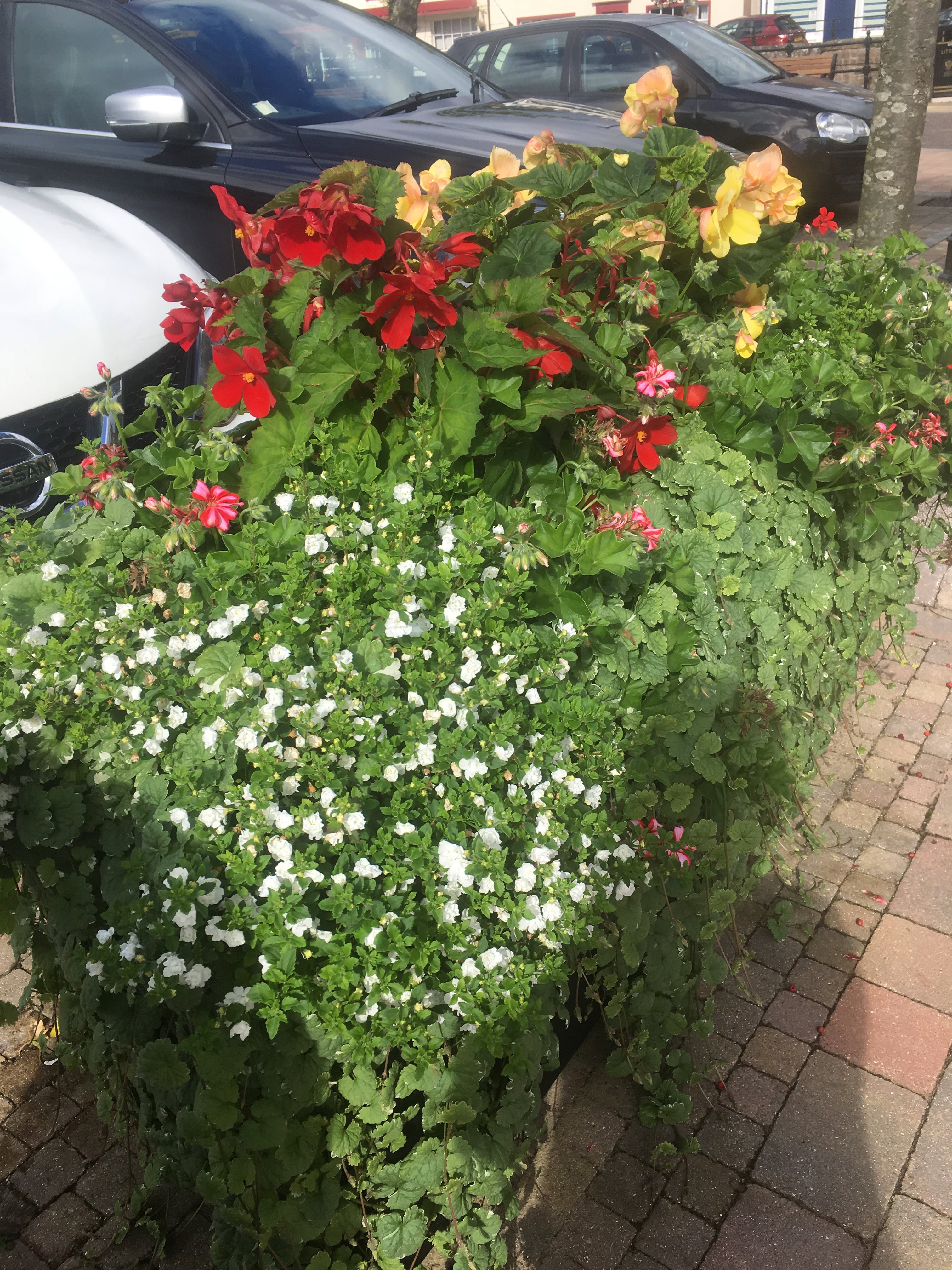 Planters in the Square