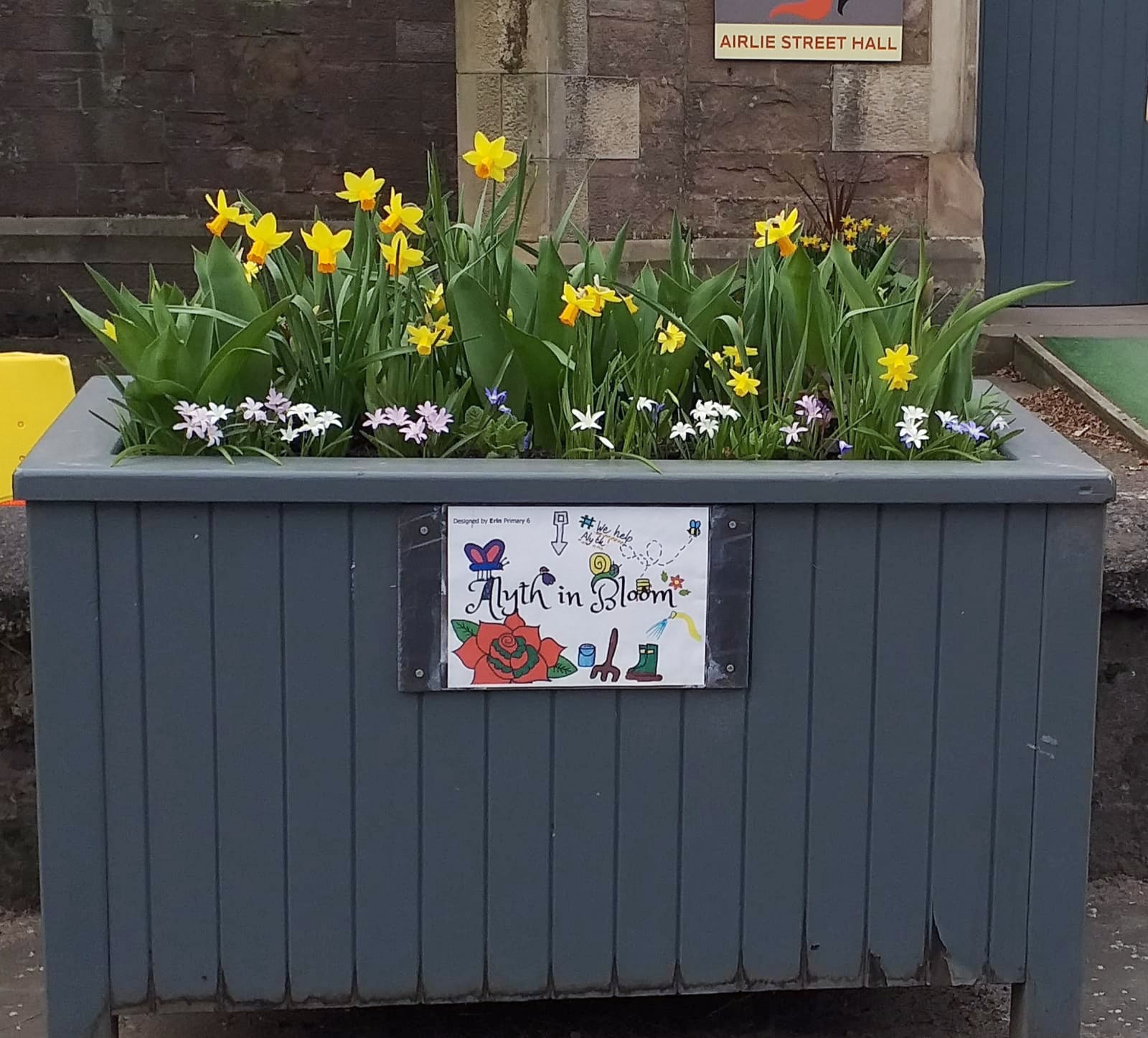 Planter at Airlie Street Hall