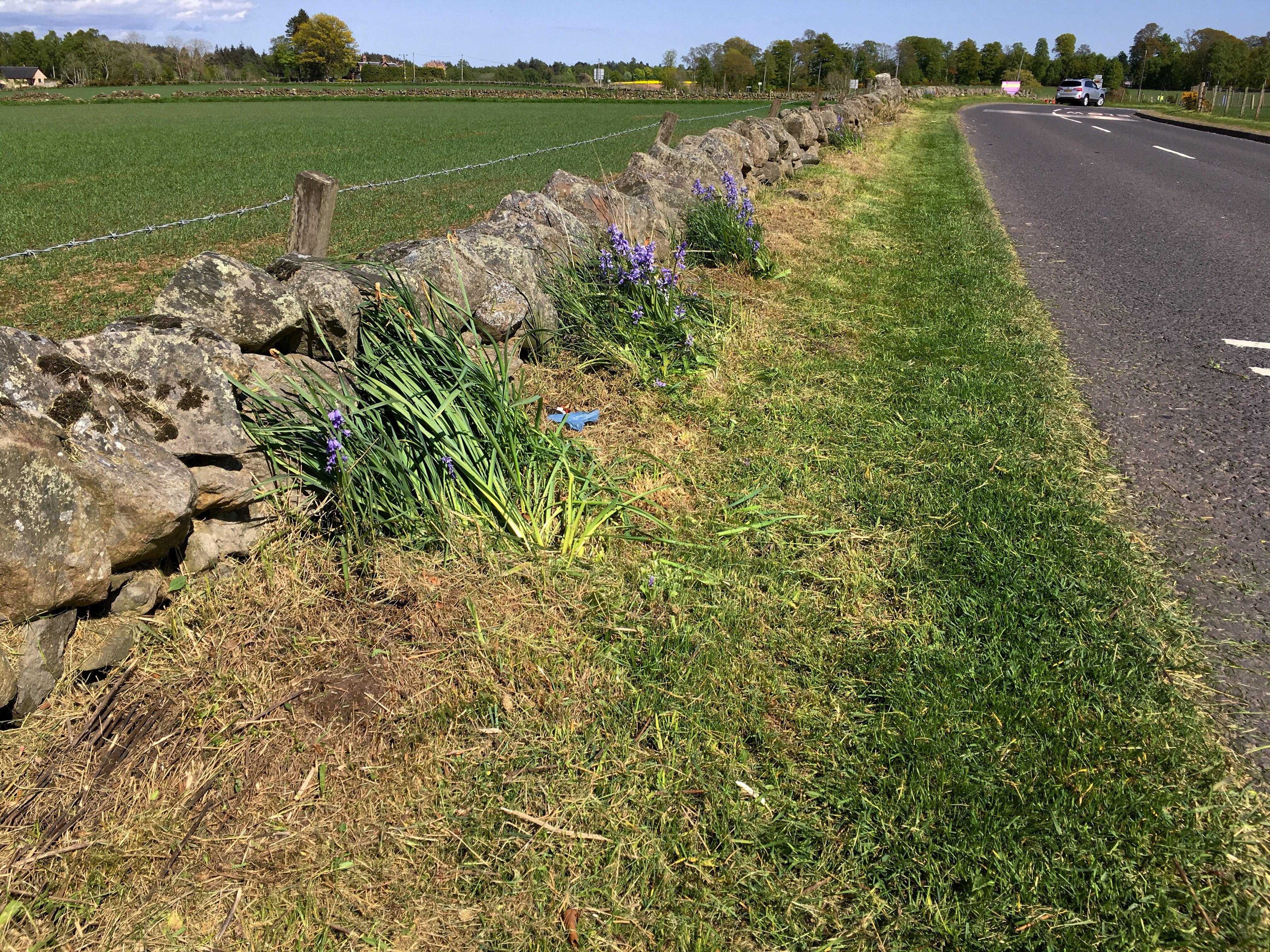 Grass Cutting Meigle Road