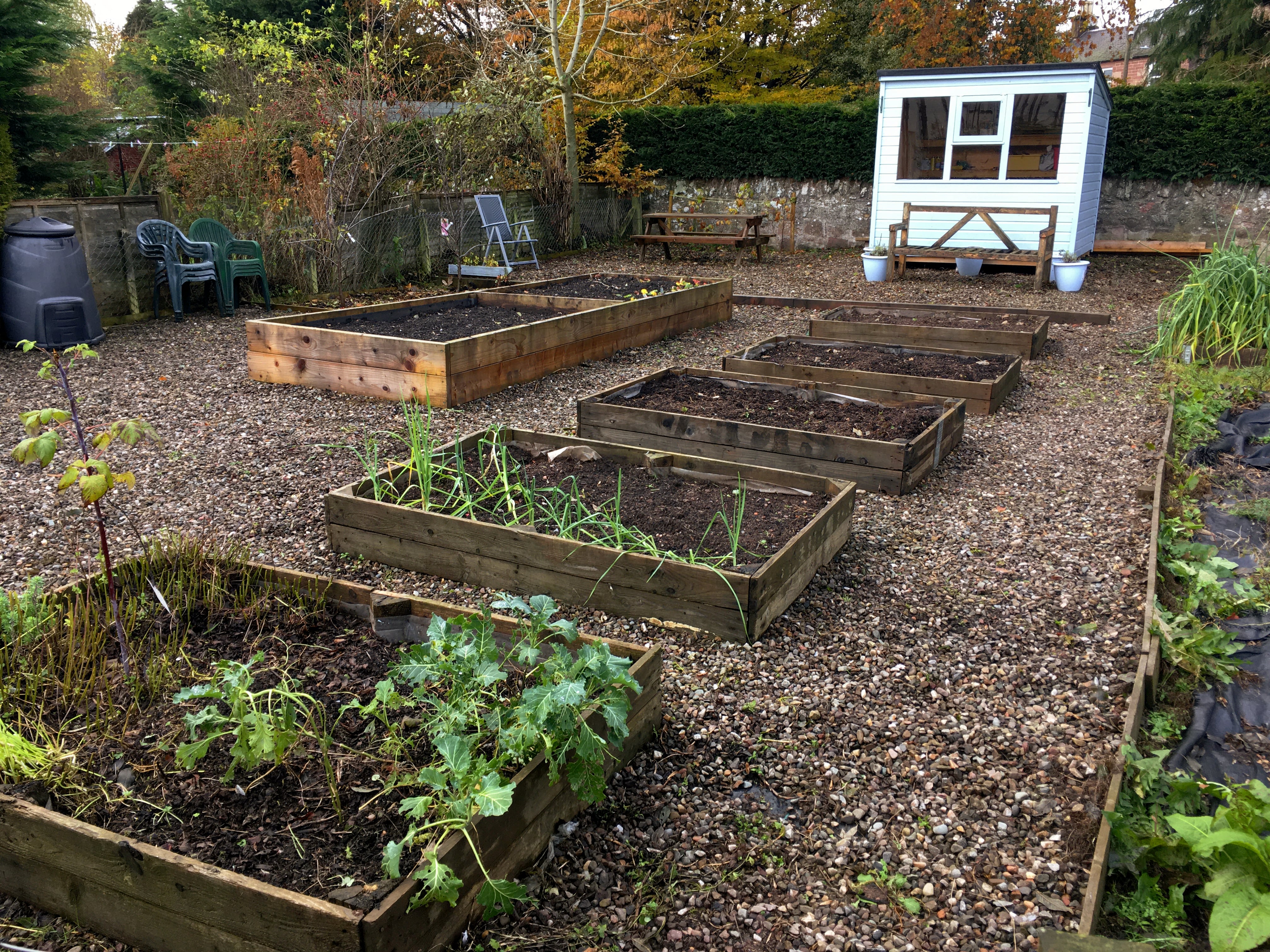 Allotment shared with AYP